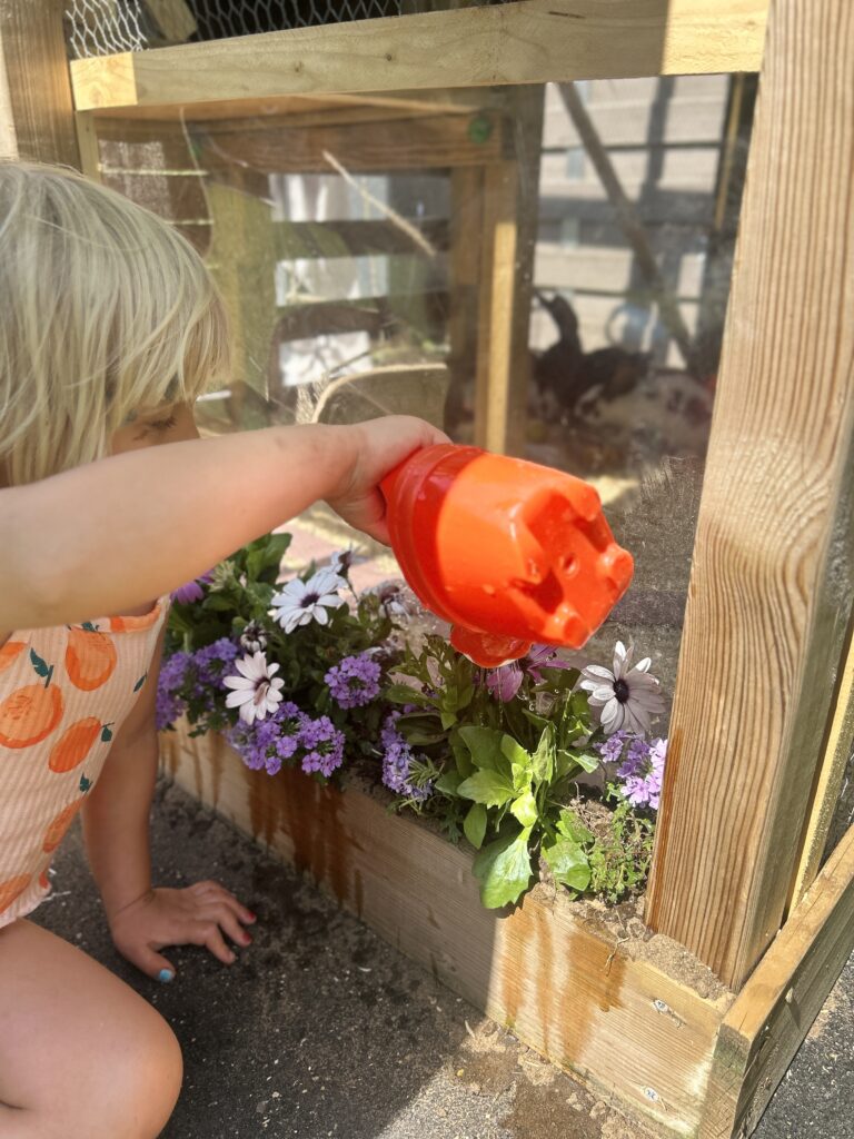 Unsere kleine Farm img 7321