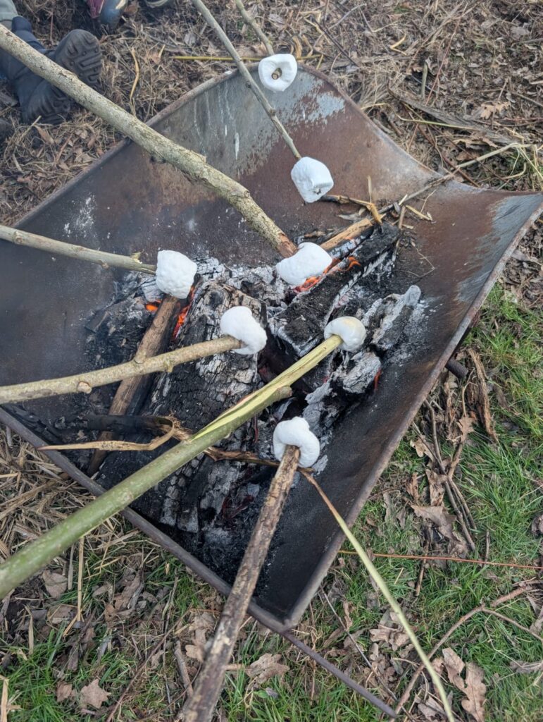 e19af0ec 2647 45c0 88e7 67870bc55b84